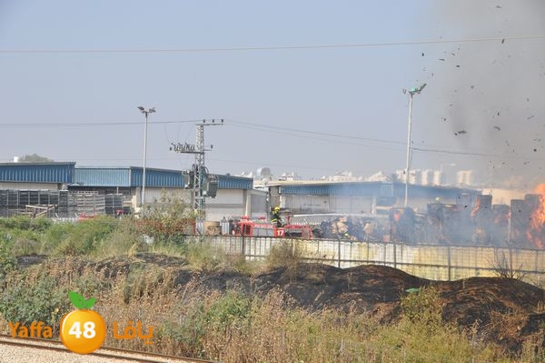 firecartoonsecnd506 (39).JPG